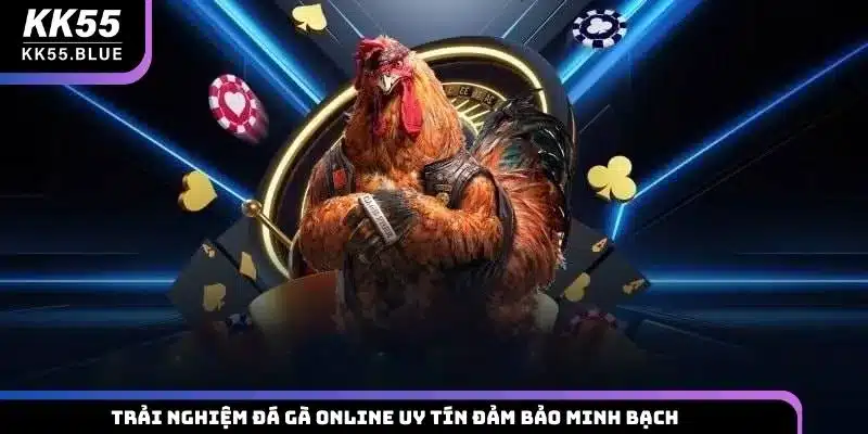 Trải nghiệm đá gà online uy tín đảm bảo minh bạch